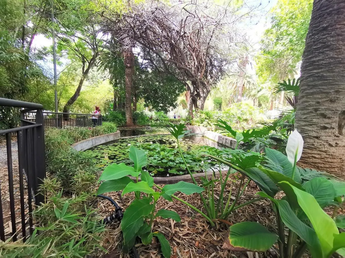 דירה סנטה קרוז דה טנריף Home2Book Olympo Suite